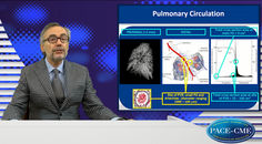 What is the underlying pathophysiology of PAH and what are its characteristics