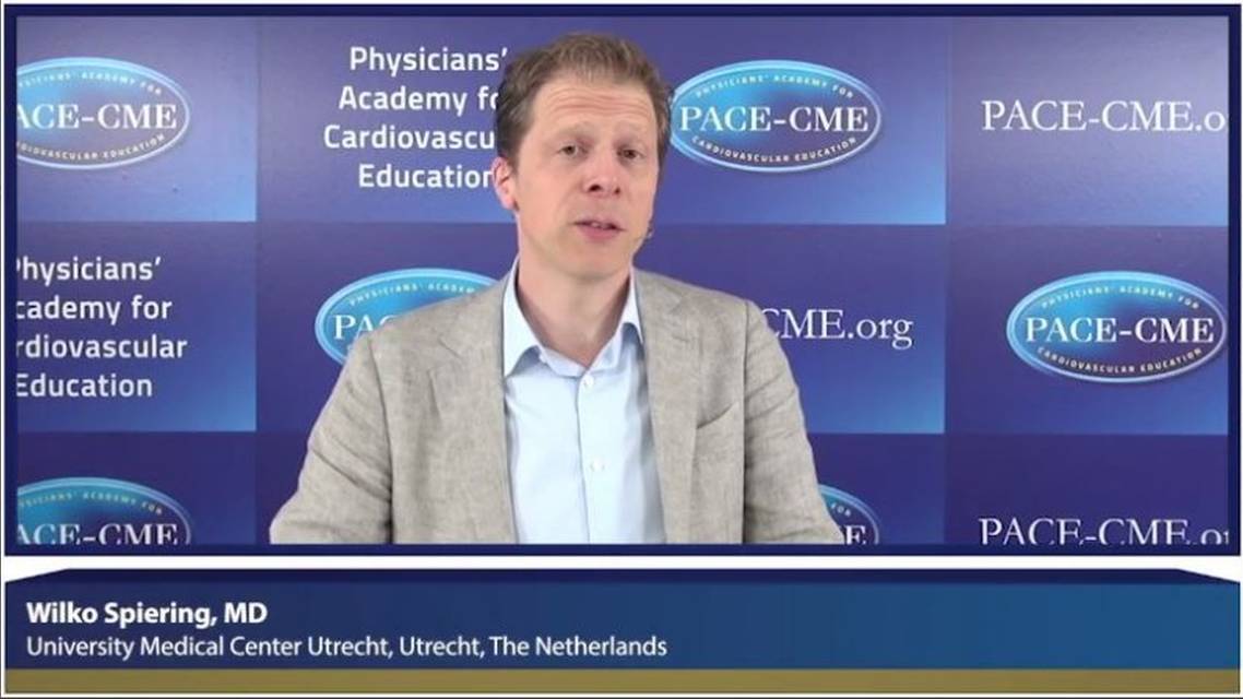 BP lowering with endovascular baroreflex amplification in resistant hypertension the CALMFIM study