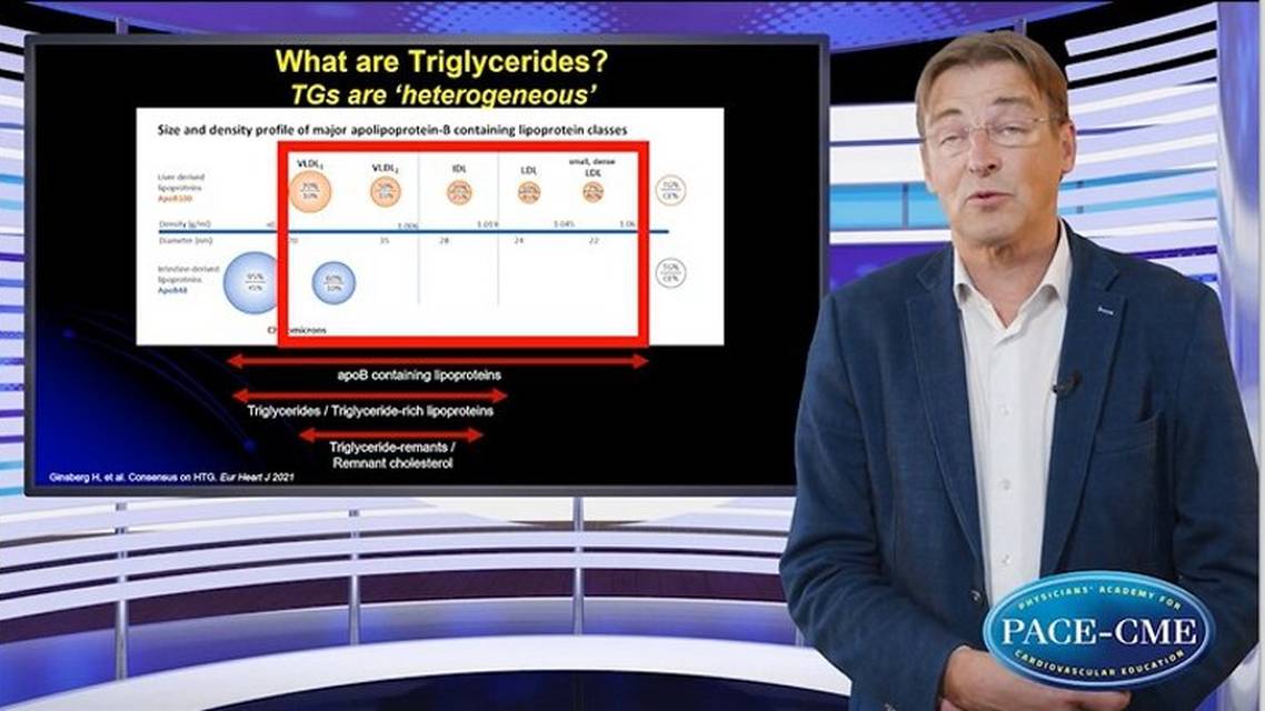 Triglyceriderich lipoproteins and residual CV risk