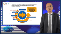 RAAS inhibition in patients with kidney disease Balancing the benefits and risks