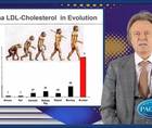 LDLc atherosclerotic plaques and CV risk  what to do about it