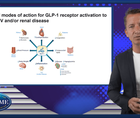 The science behind vascular and renal benefits of GLP receptor agonists
