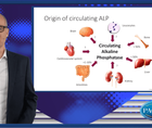 The role of ALP as predictor of CV events and vascular calcification in CKD