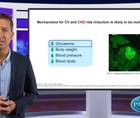 What is relevant for nephrology with regard to GLPRA in CVD