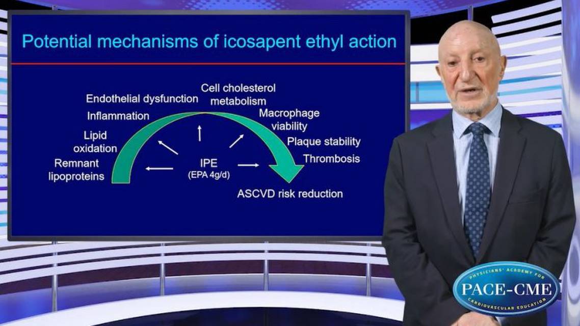 Potential mechanisms of benefit of icosapent ethyl