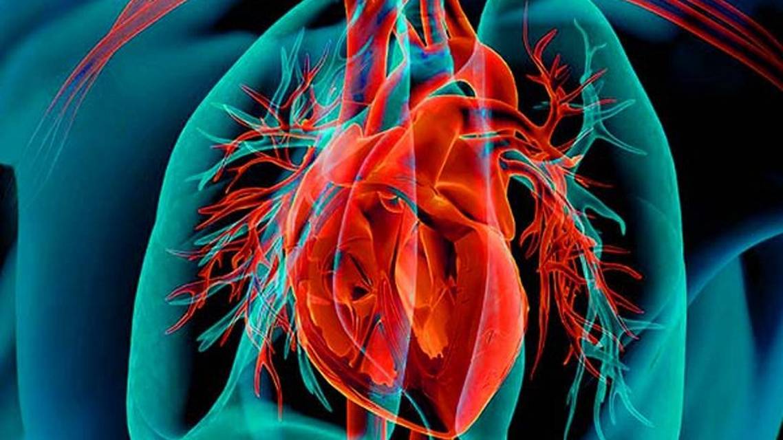 Emerging therapies in HCM The potential role of cardiac myosin inhibitors