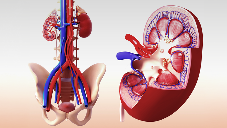 ReachMD Healthcare Image