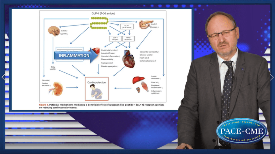 TDM  CV outcomes More than glucose management  Lessons from GLPRA trials