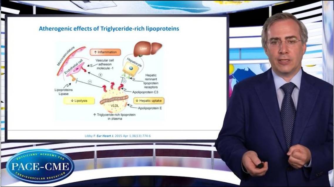 The residual risk challenge in CVD How important are triglycerides