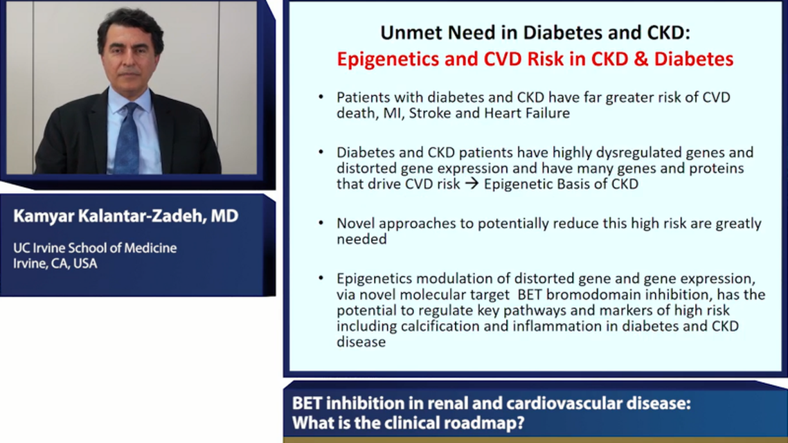 BET inhibition in renal and cardiovascular disease What is the clinical roadmap