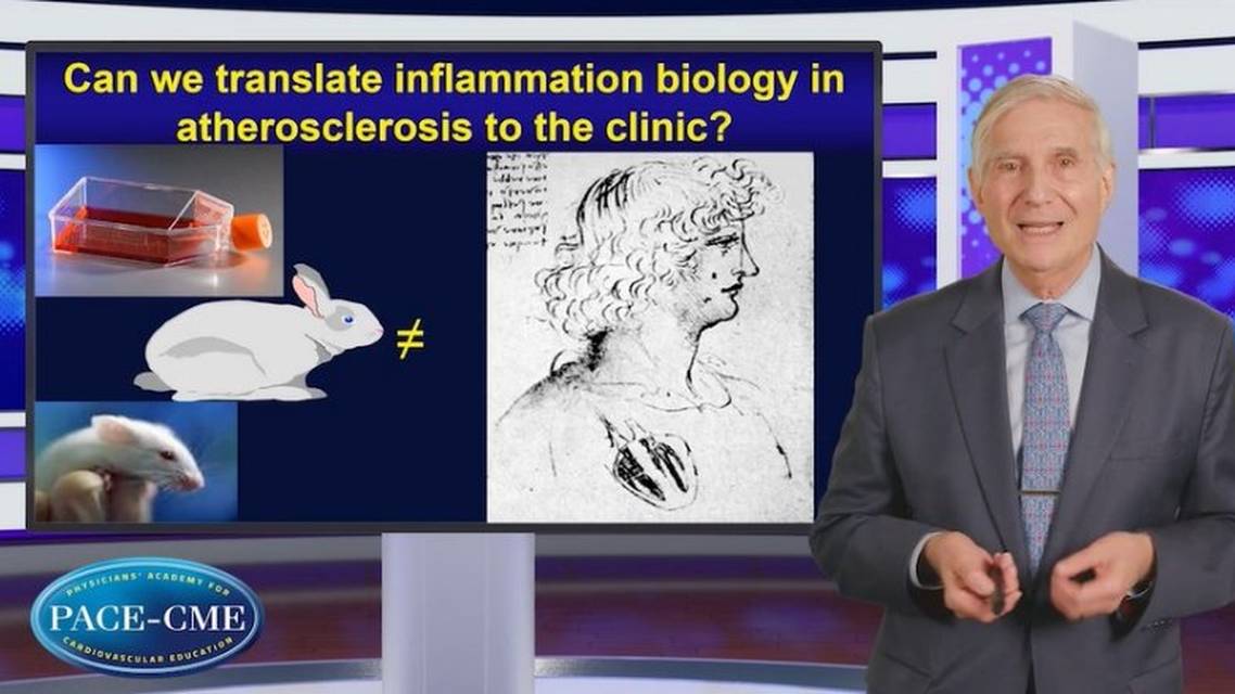 Immunity and inflammation in atherosclerosis  no longer just a theory
