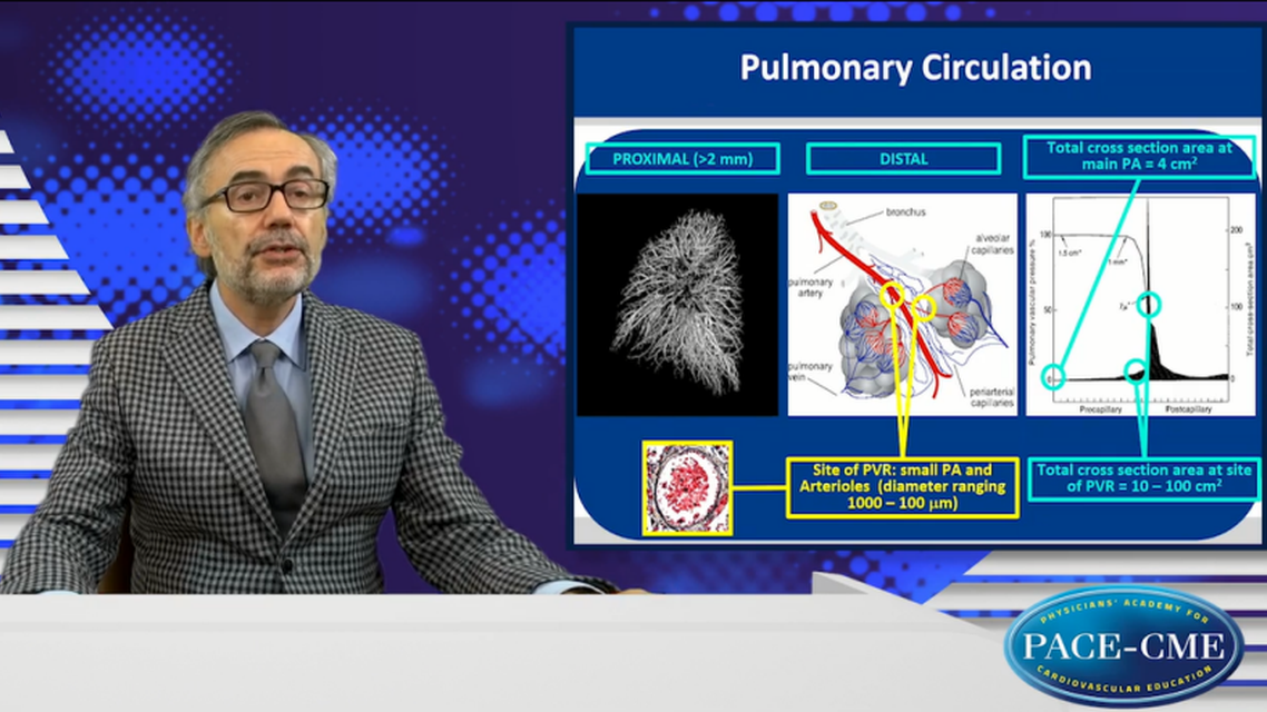 What is the underlying pathophysiology of PAH and what are its characteristics