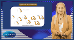 Are we ready for primetime Lpa assay standardization