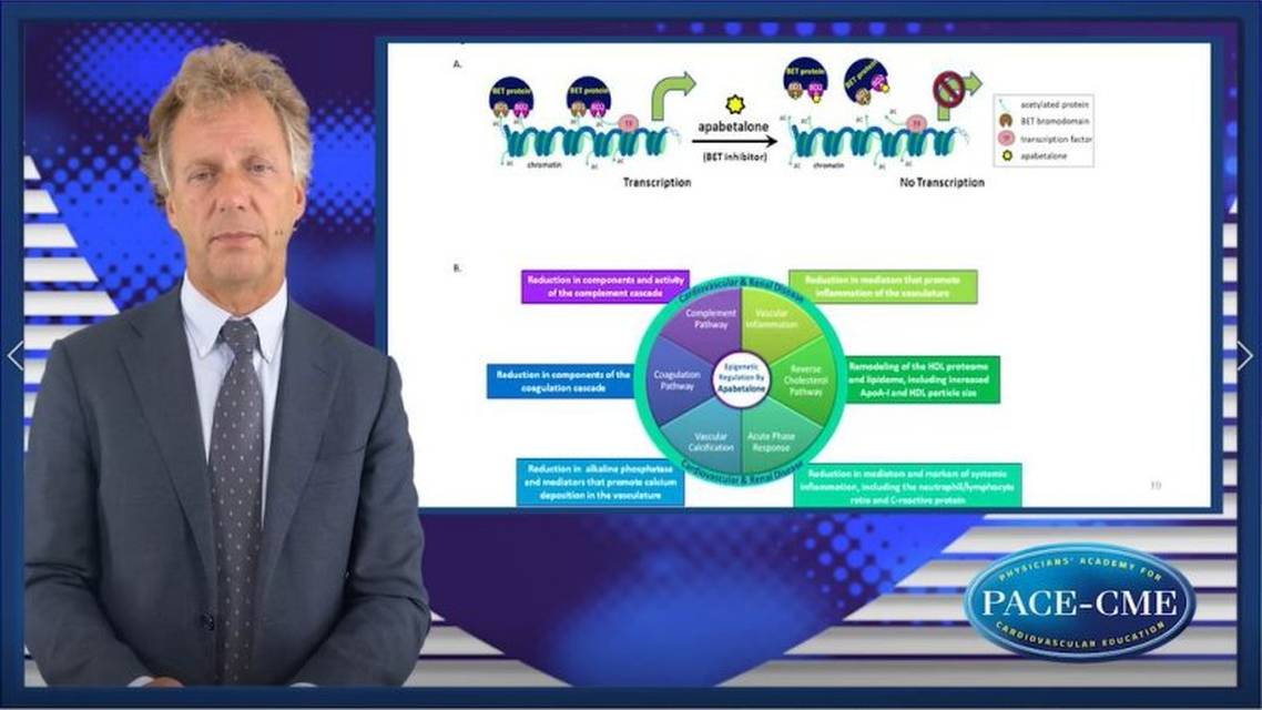 BET inhibition an epigenetic pathway How could BET inhibition modulate atherothrombotic risk