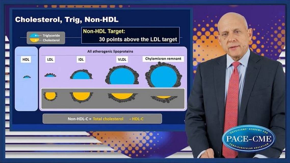 The spectrum of triglyceridecontaining lipoproteins