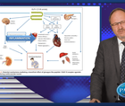 TDM  CV outcomes More than glucose management  Lessons from GLPRA trials
