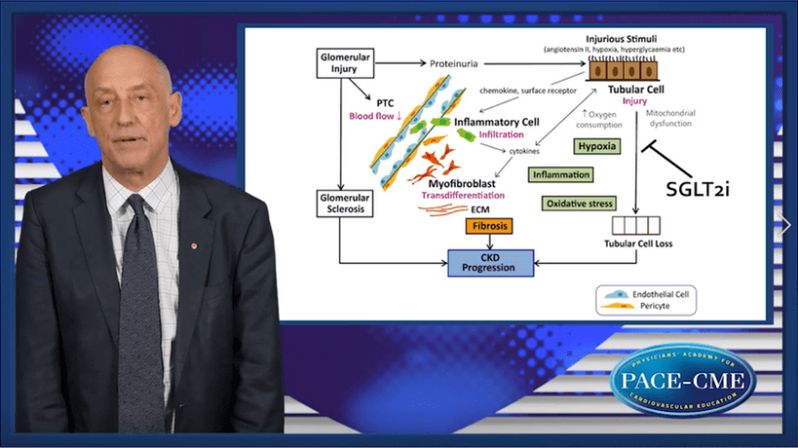 Outcomes of SGLTi in Diabetic Kidney Disease Is it all diabetes