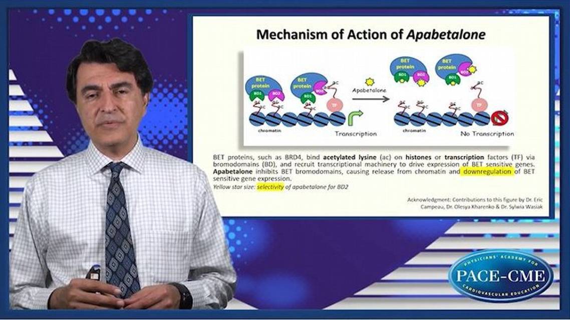 A clinical view on BET inhibition in CKD  CVD Understanding recent data and future perspectives