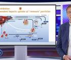 Optimizing treatment for patients with HoFH