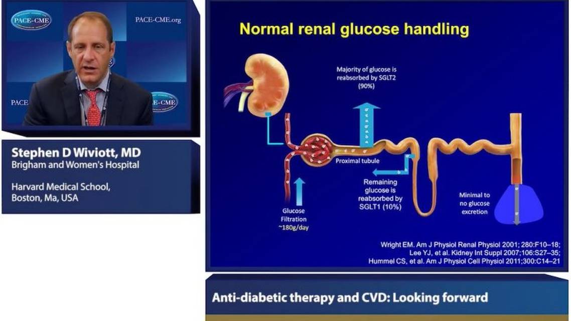 Diabetes therapies and CVD Does the how matter more than the how much
