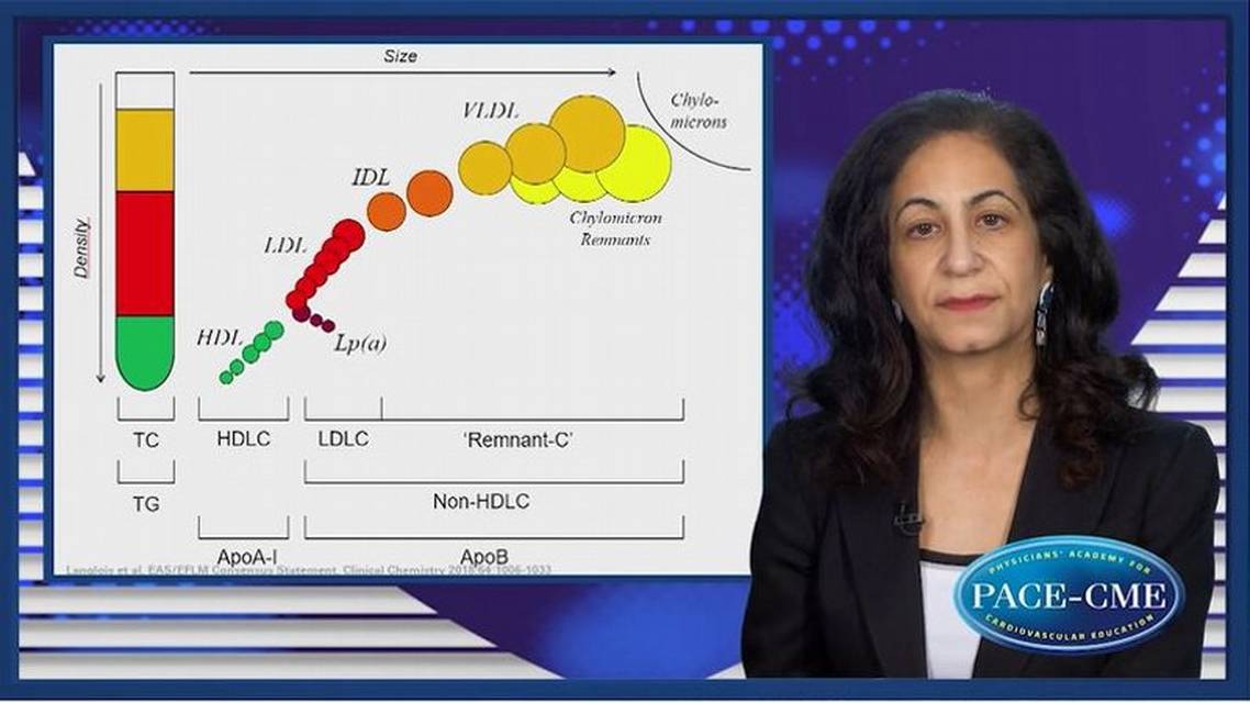 Assessing residual lipid risk with advanced testing