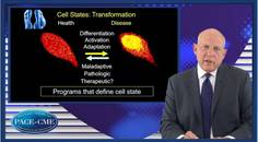 Understanding epigenetics The potential rationale for BET inhibition in management of CVD