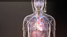 Epigenetics A closer look at BET inhibition