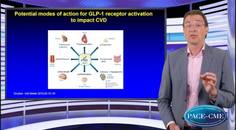 DKD and CV risk What is the potential of targeting GLP