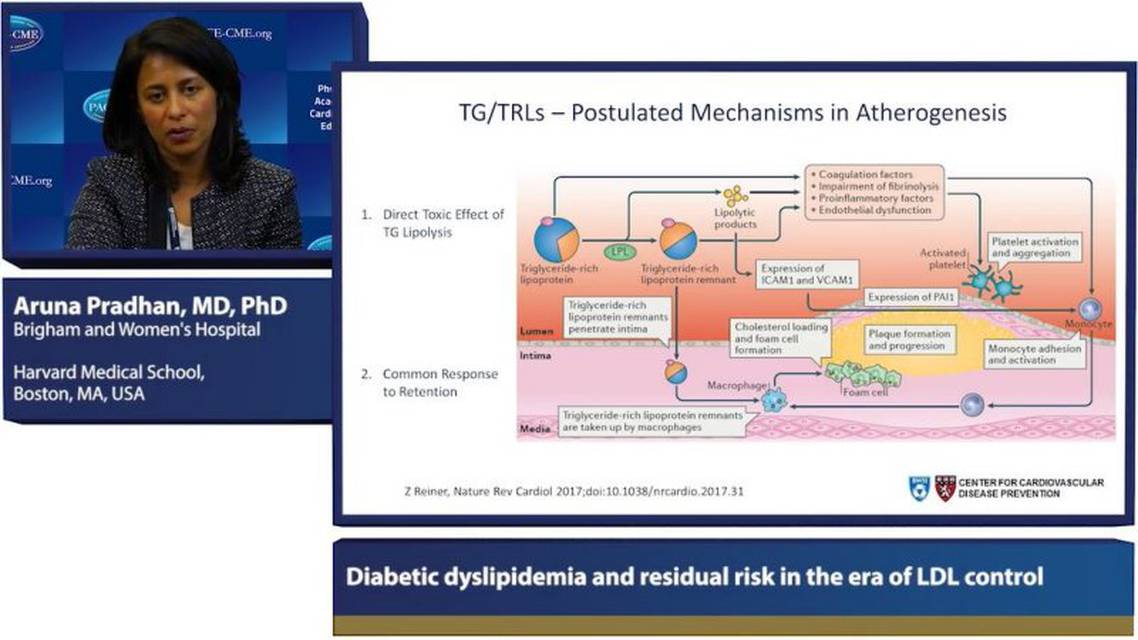 Diabetic dyslipidemia and residual risk in the era of LDL control