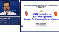Overview of SGLT inhibitors in TDM management current position  future promise