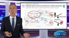 A continuum of multifactorial benefits of icosapent ethyl