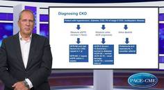 Primary care role in CKD