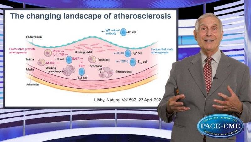 Novel modulators of inflammation in atherosclerosis