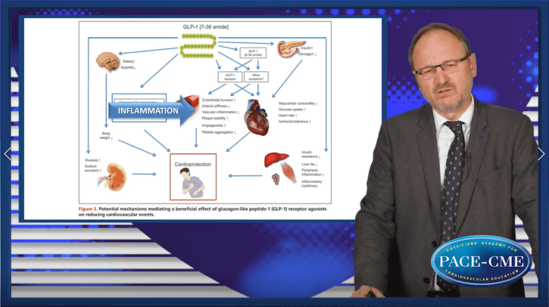 TDM  CV outcomes More than glucose management  Lessons from GLPRA trials