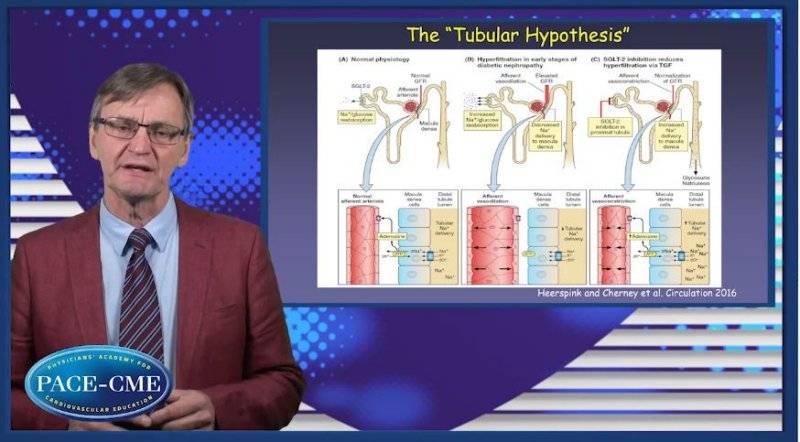 Understanding CKD and SGLTinhibition What are the key mechanisms