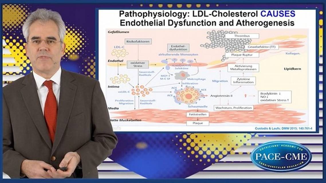Translating pathophysiological genetic and trial data to practical LDLc treatment recommendations