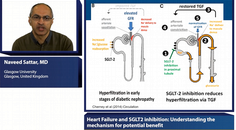 Heart failure and SGLT inhibition understanding the mechanism for potential benefit