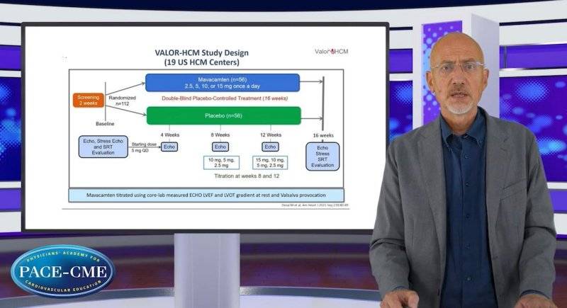Managing patients with hypertrophic cardiomyopathy what is the therapeutic landscape