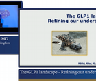 Lecture The GLP landscape  refining our understanding