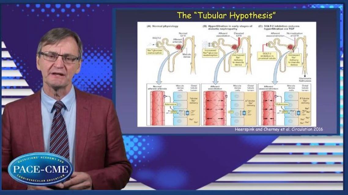 Understanding CKD and SGLTinhibition What are the key mechanisms