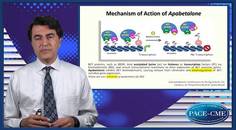 A clinical view on BET inhibition in CKD CVD Understanding recent data and future perspectives