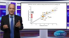 Inflammation as a new target in CV risk reduction