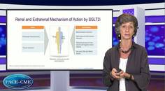 New opportunities to tackle the global burden of CKD  the role of SGLTi