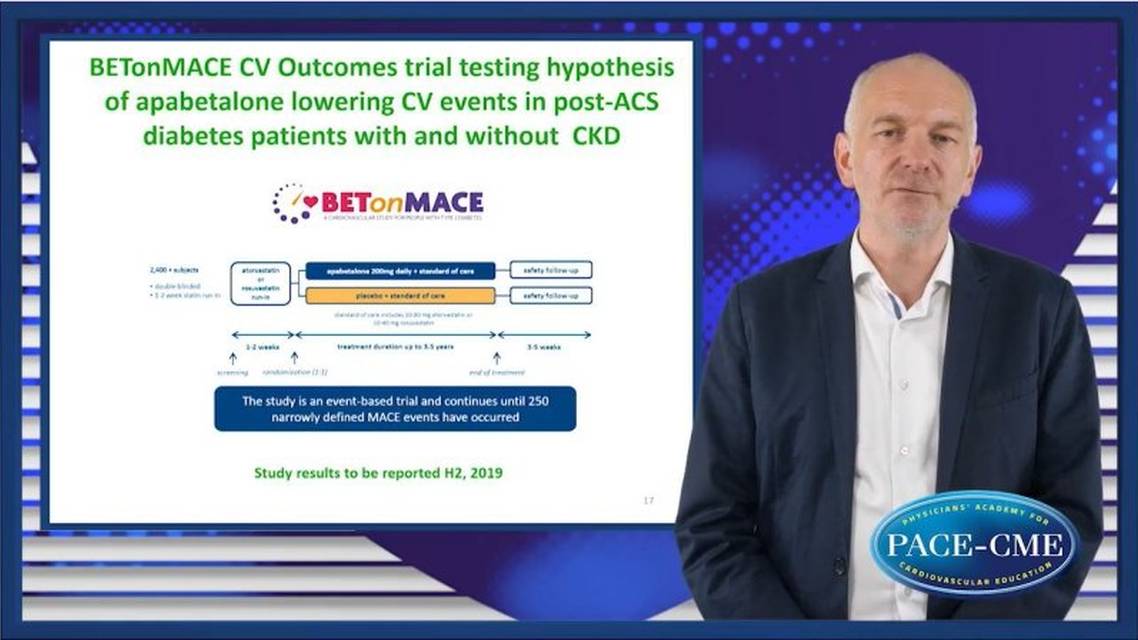 Targeting residual cardiovascular risk vascular calcification The clinical perspective for BET inhibition