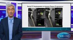 Mechanistic clues to understanding the benefits of icosapent ethyl