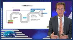 The future of SGLTi in HF Managing patients without TDM
