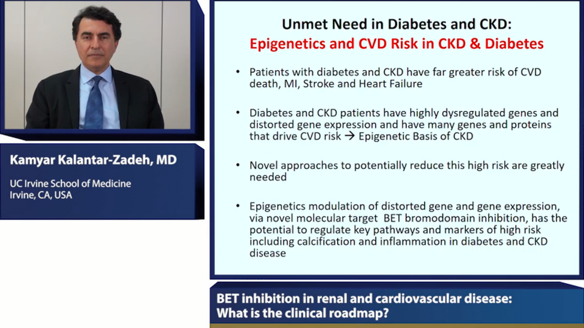BET inhibition in renal and cardiovascular disease What is the clinical roadmap 