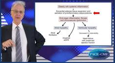 Understanding and managing obesityrelated HFpEF