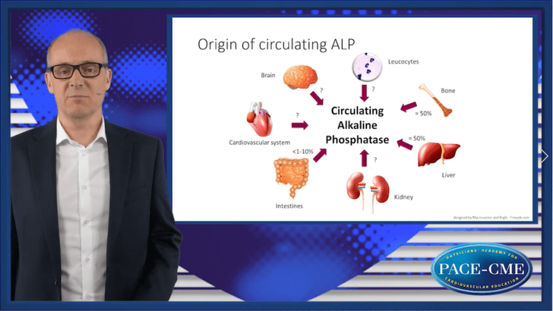 The role of ALP as predictor of CV events and vascular calcification in CKD