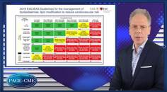 LDLc targets in the ESCEAS dyslipidaemia guidelines in a nutshell